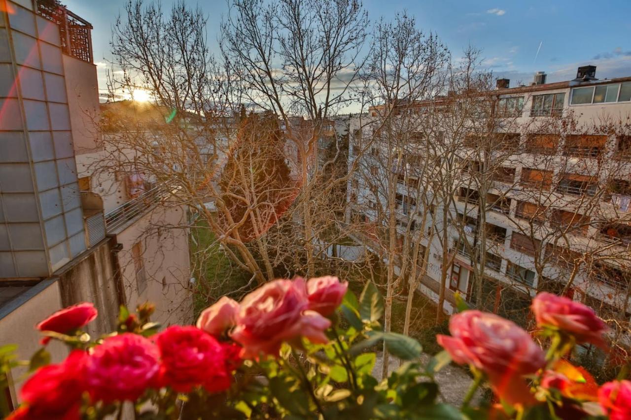 Bel Canto Apartament *